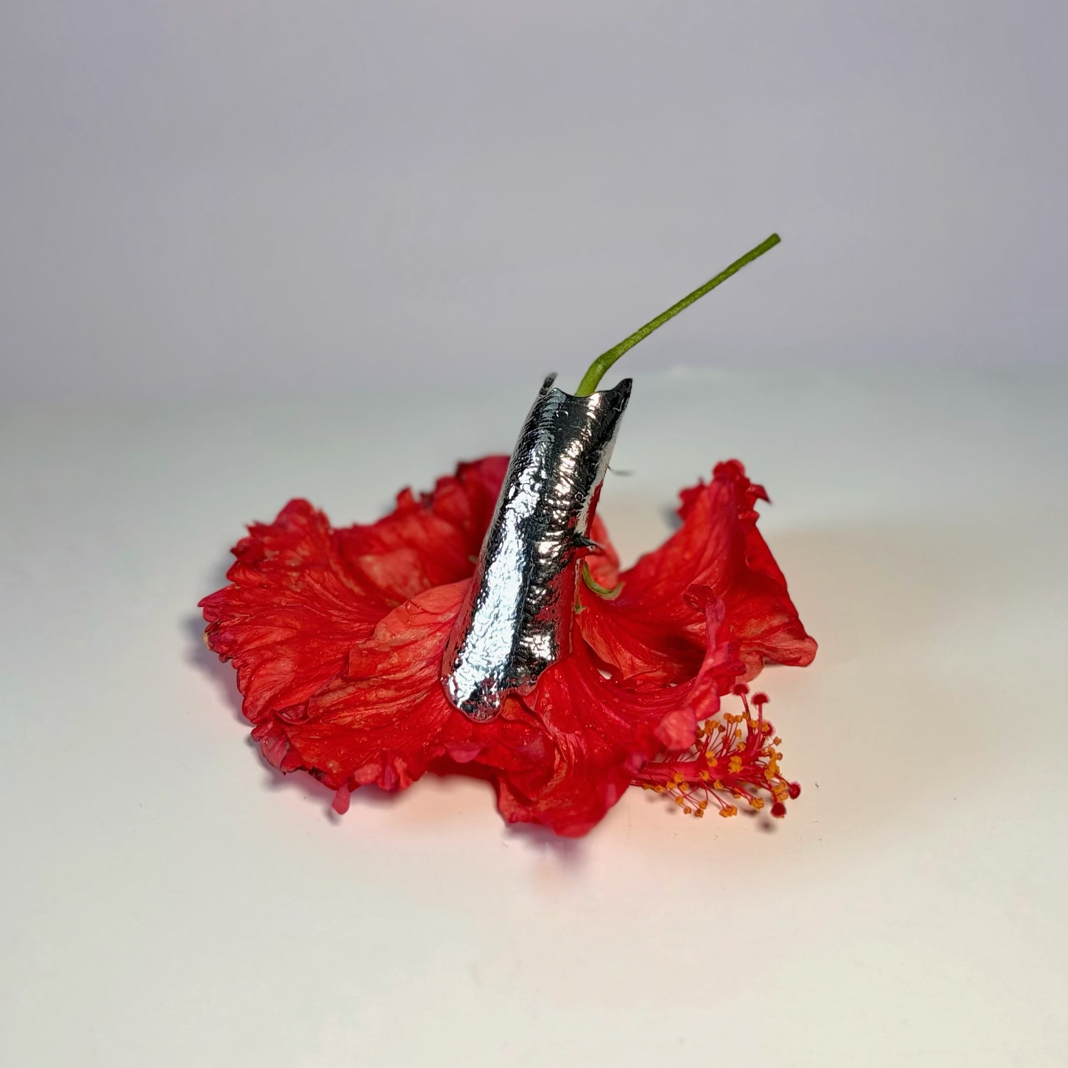 Kavach Ring
