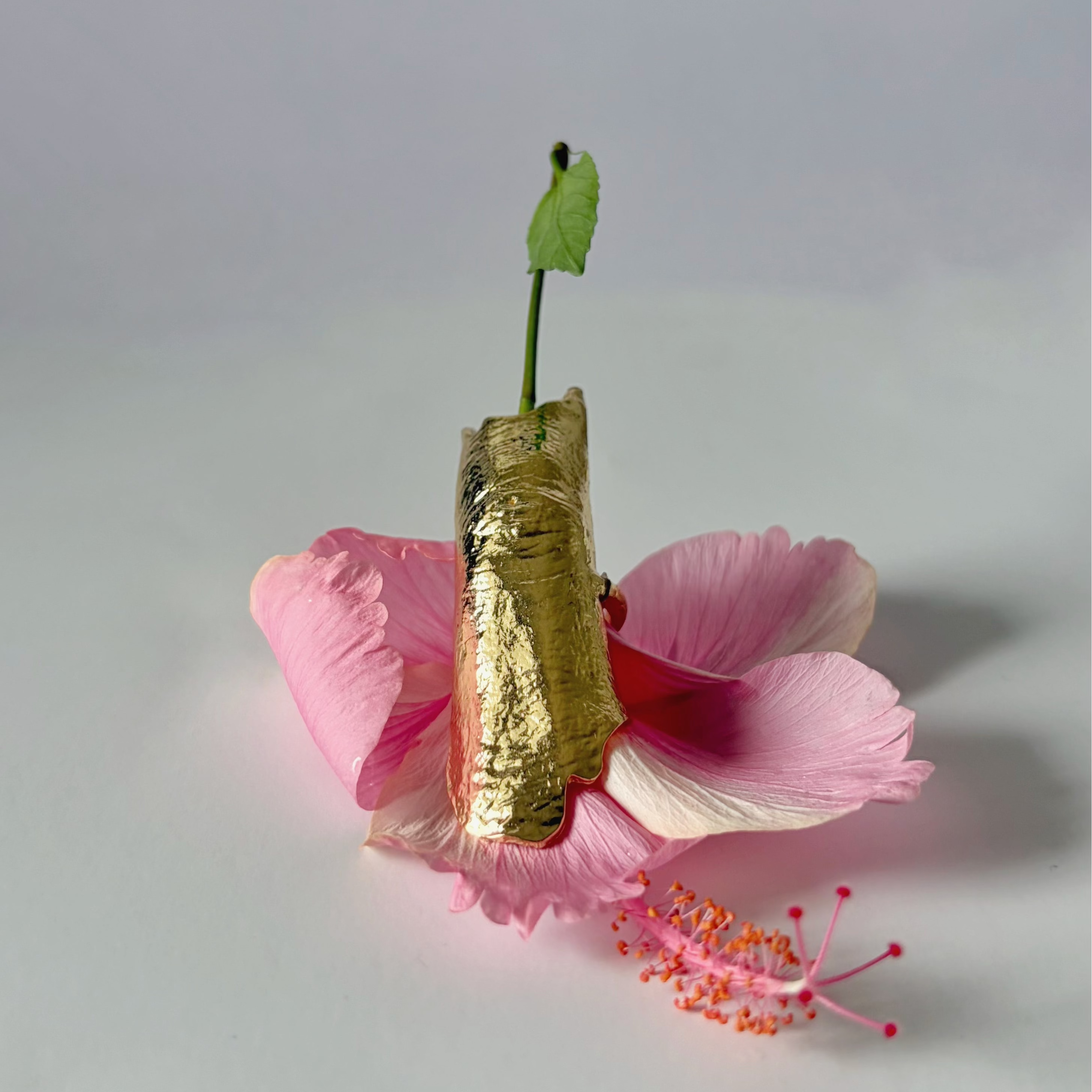 Kavach Ring