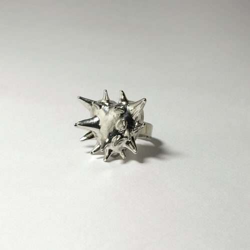 Barbed Ring