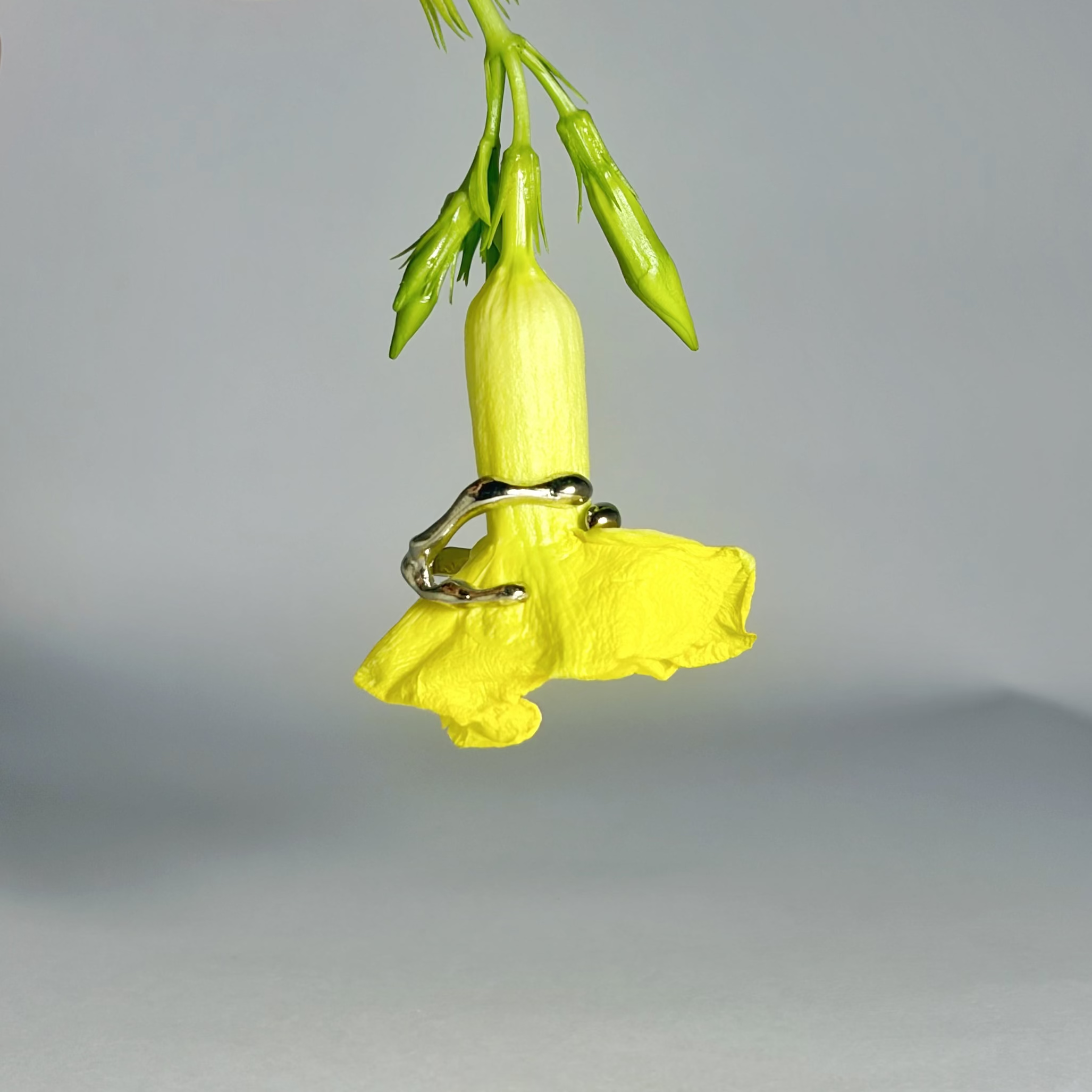 Mercuric Ring